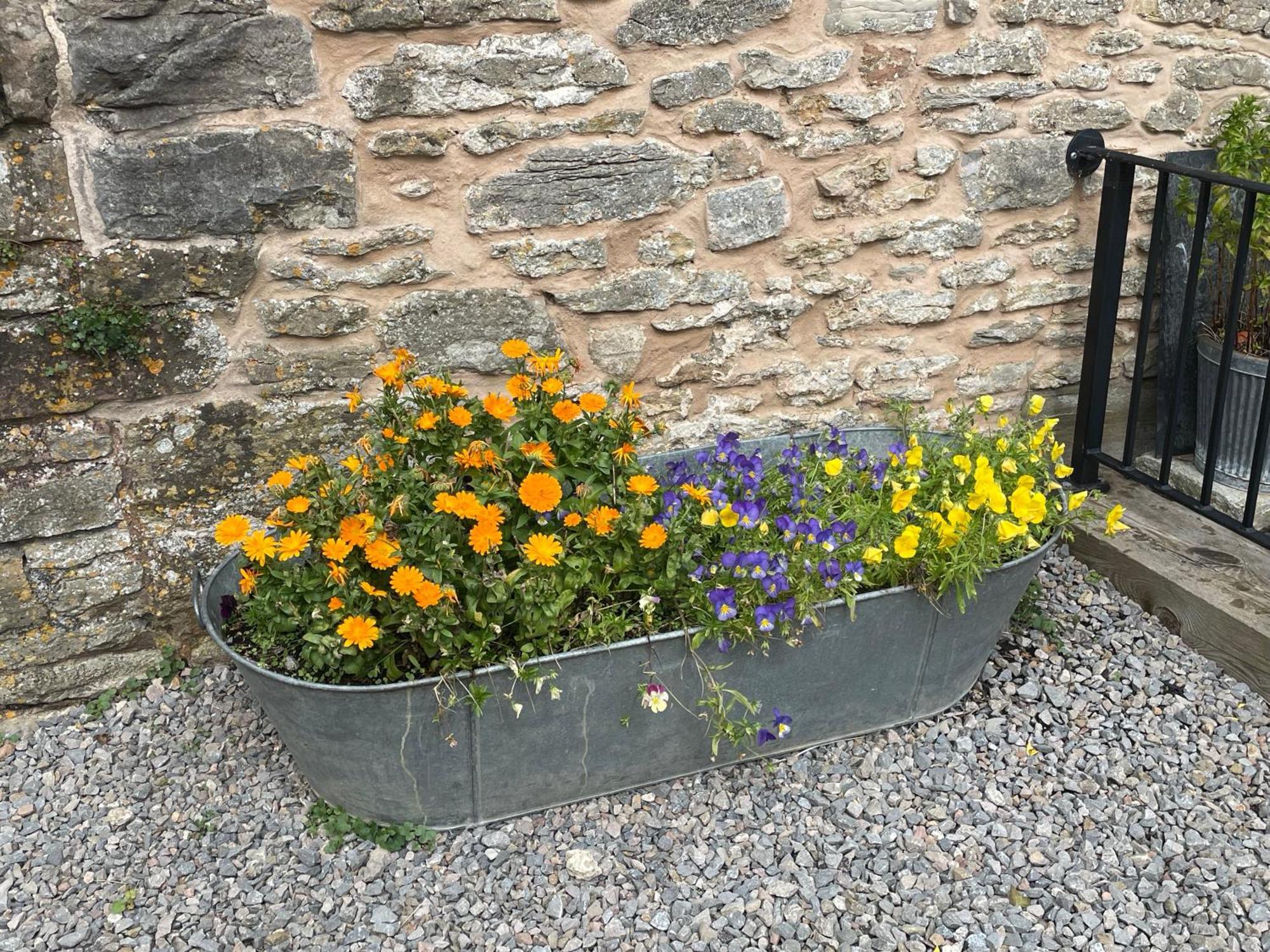Acorn Cottage Ross-on-Wye Buitenkant foto