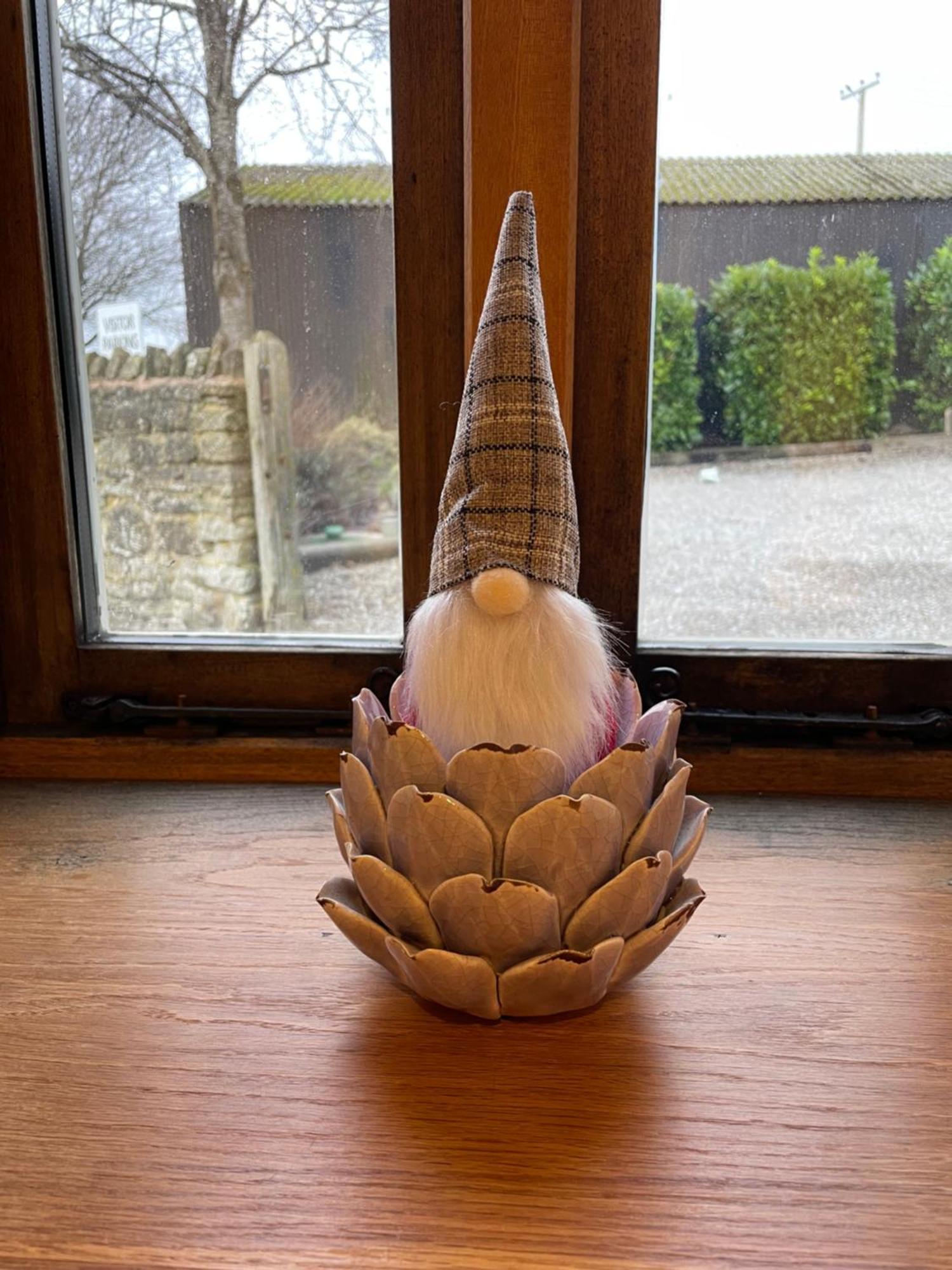 Acorn Cottage Ross-on-Wye Buitenkant foto
